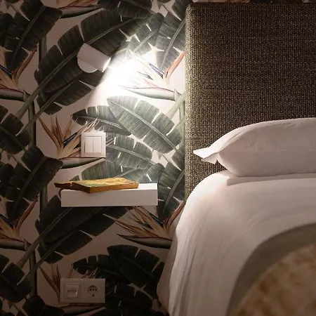 Strelitzia Apartment, By Bolhao Residences * Porto