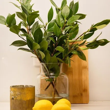 Apartament Strelitzia Apartment, By Bolhao Residences Porto