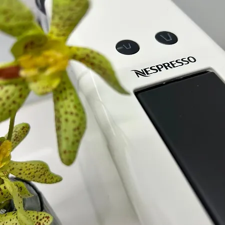 Strelitzia Apartment, By Bolhao Residences *