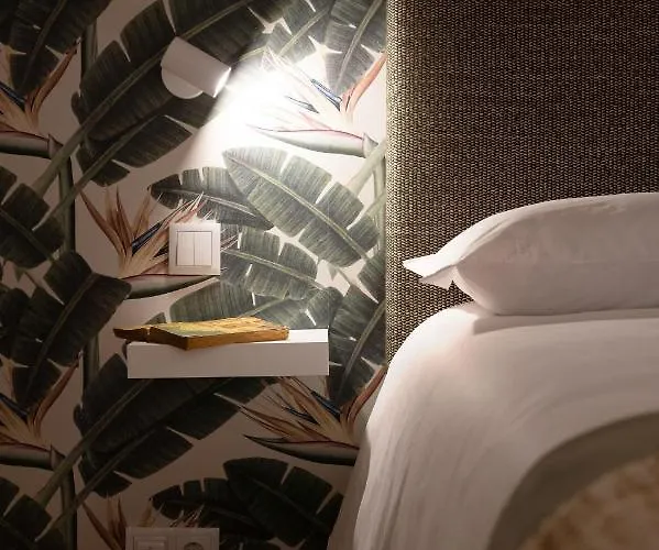 Strelitzia Apartment, By Bolhao Residences * Porto