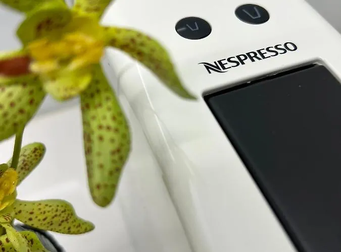 Strelitzia Apartment, By Bolhao Residences *