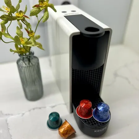 Strelitzia Apartment, By Bolhão Residences * Porto