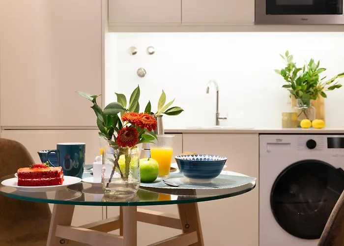 Strelitzia Apartment, By Bolhão Residences * Porto