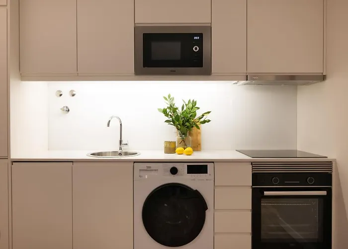 Strelitzia Apartment, By Bolhão Residences * Porto