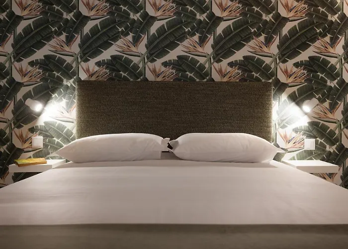 Lejlighed Strelitzia Apartment, By Bolhao Residences