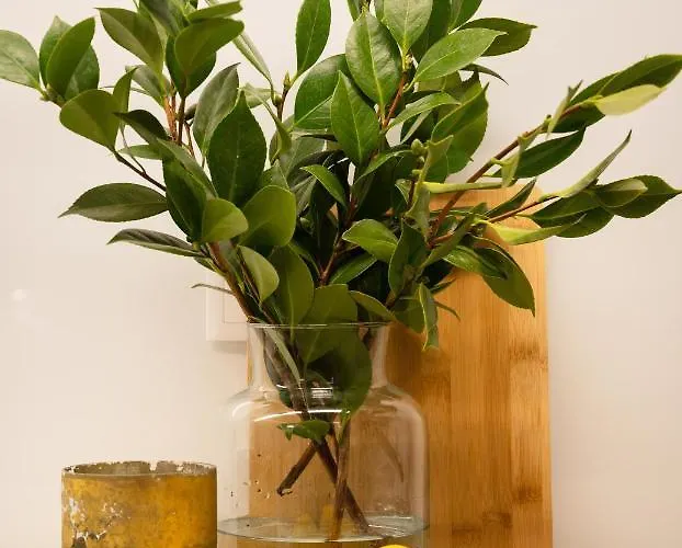 Apartamento Strelitzia Apartment, By Bolhão Residences Porto