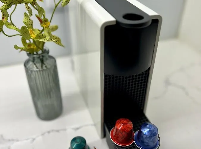 Strelitzia Apartment, By Bolhão Residences * Porto