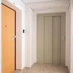 Strelitzia Apartment, By Bolhao Residences Apartment Porto