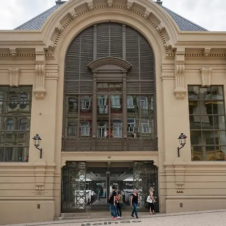 Strelitzia Apartment, By Bolhao Residences Appartamento Oporto